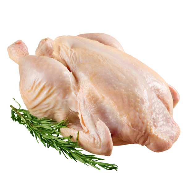 Fresh Chicken